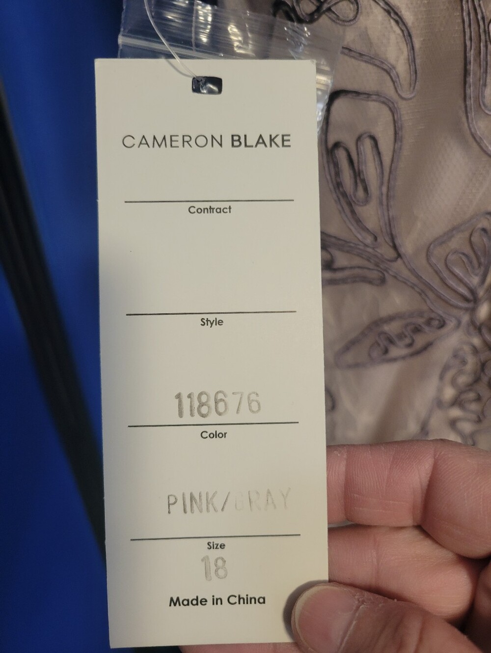 Cameron Blake Blush Maxi Dress with Silver Embroidery - Picture 2 of 9